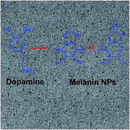 Graphical abstract: Strong nanocomposite reinforcement effects in poly(vinyl alcohol) with melanin nanoparticles