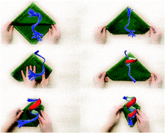 Graphical abstract: Conformational ensembles of neuromedin C reveal a progressive coil-helix transition within a binding-induced folding mechanism