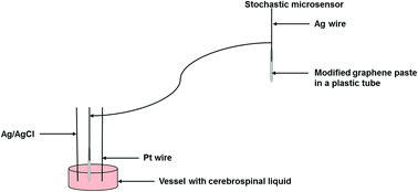 Graphical abstract: New nanocomposite-graphene pastes based stochastic microsensors