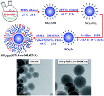 Graphical abstract: Fabrication of triple responsive polymer brushes and their catalytic performance after loading palladium