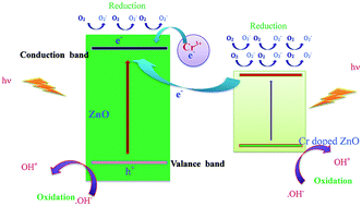 Graphical abstract: Enhanced antibacterial activity of Cr doped ZnO nanorods synthesized using microwave processing