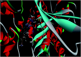 Graphical abstract: Synthesis, biological evaluation and molecular modeling of 1H-benzo[d]imidazole derivatives as novel anti-tubulin polymerization agents