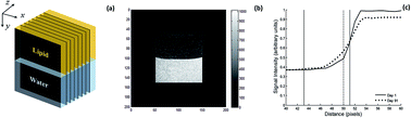 Graphical abstract: Analysis of moisture diffusion mechanism in structured lipids using magnetic resonance imaging