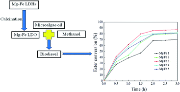 Graphical abstract: Mg–Fe mixed oxides as solid base catalysts for the transesterification of microalgae oil