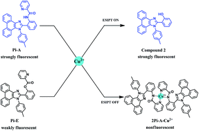 Graphical abstract: Proton donor modulating ESIPT-based fluorescent probes for highly sensitive and selective detection of Cu2+