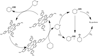 Graphical abstract: Catalytic oxidation of cyclohexane by substituted metalloporphyrins: experimental and molecular simulation