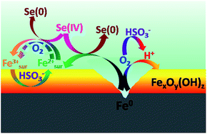 Graphical abstract: Enhancing the effect of bisulfite on sequestration of selenite by zerovalent iron