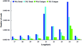 Graphical abstract: Identification of miRNAs and their targets in transgenic Brassica napus and its acceptor (Westar) by high-throughput sequencing and degradome analysis