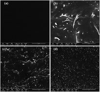 Graphical abstract: Bio-polyurethanes from Sapium sebiferum oil reinforced with carbon nanotubes: synthesis, characterization and properties