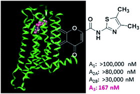 Graphical abstract: Navigating in chromone chemical space: discovery of novel and distinct A3 adenosine receptor ligands