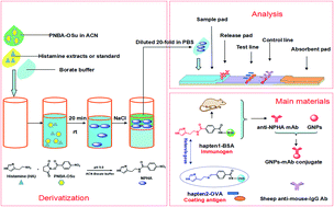 Graphical abstract: A sensitivity-enhanced heterologous immunochromatographic assay based on a monoclonal antibody for the rapid detection of histamine in saury samples