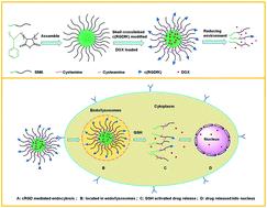 Graphical abstract: cRGD-functionalized redox-sensitive micelles as potential doxorubicin delivery carriers for αvβ3 integrin over expressing tumors