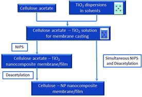 Graphical abstract: Two step and one step preparation of porous nanocomposite cellulose membranes doped with TiO2