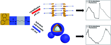 Graphical abstract: Optical property modulation of Fmoc group by pH-dependent self-assembly