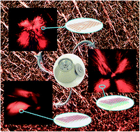 Graphical abstract: Liquid crystal graphene oxide with different layers: fabrication, characterization and applications