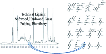 Graphical abstract: Comprehensive structural analysis of biorefinery lignins with a quantitative 13C NMR approach