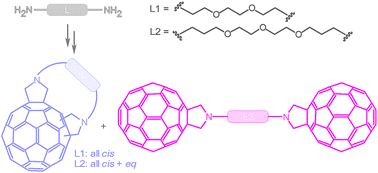 Graphical abstract: Fulleropyrrolidines derived from dioxa- and trioxaalkyl-tethered diglycines