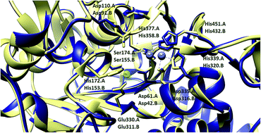 Graphical abstract: Synthesis, characterization and biological evaluation of N-(2,3-dimethyl-5-oxo-1-phenyl-2,5-dihydro-1H-pyrazol-4-yl)benzamides