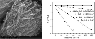 Graphical abstract: Hierarchical microspheres: in situ assembly of CdS quantum dots on Cd2SnO4 nanosheets with enhanced visible light photocatalytic properties