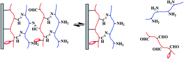 Graphical abstract: Dynamic layer-by-layer films linked with Schiff base bond for sustained drug release
