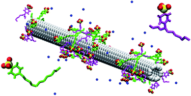 Graphical abstract: Equimolar mixtures of aqueous linear and branched SDBS surfactant simulated on single walled carbon nanotubes