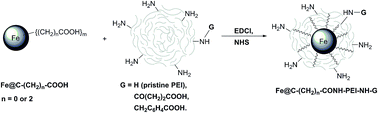 Graphical abstract: Conjugation of polyethylenimine and its derivatives to carbon-encapsulated iron nanoparticles