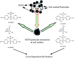 Graphical abstract: Degradation of soil-adsorbed DDT and its residues by NZVI addition