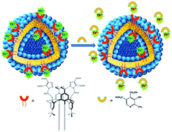 Graphical abstract: Thiacalix[4]arene-functionalized vesicles as phosphorescent indicators for pyridoxine detection in aqueous solution