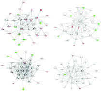 Graphical abstract: Quantitative proteomic analysis of synovial tissue from rats with collagen-induced arthritis