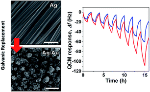 Graphical abstract: Silver/gold core/shell nanowire monolayer on a QCM microsensor for enhanced mercury detection