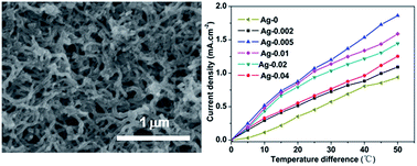 Graphical abstract: Improving thermo-electrochemical cell performance by constructing Ag–MgO–CNTs nanocomposite electrodes
