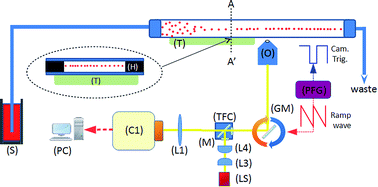Graphical abstract: High throughput imaging cytometer with acoustic focussing