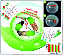 Graphical abstract: Silver-reinforced cellulose hybrids with enhanced antibacterial activity: synthesis, characterization, and mechanism