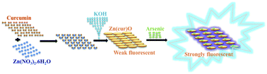 Graphical abstract: Modification of nanostructured ZnO surfaces with curcumin: fluorescence-based sensing for arsenic and improving arsenic removal by ZnO