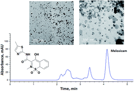 Graphical abstract: Gallic acid magnetic nanoparticles for photocatalytic degradation of meloxicam: synthesis, characterization and application to pharmaceutical wastewater treatment
