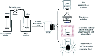 Graphical abstract: The stability of magnetic chitosan beads in the adsorption of Cu2+