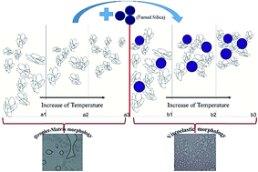 Graphical abstract: Volume phase transition of electron beam cross-linked thermo-responsive PVME nanogels in the presence and absence of nanoparticles: with a view toward rheology and interactions