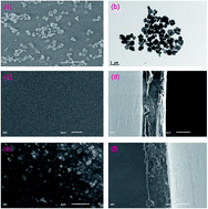 Graphical abstract: Amine-functionalized metal organic framework (NH2-MIL-125(Ti)) incorporated sodium alginate mixed matrix membranes for dehydration of acetic acid by pervaporation