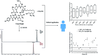 Graphical abstract: A sensitive liquid chromatography-tandem mass spectrometry method for monitoring the caspofungin trough plasma concentration and its association with caspofungin efficacy in intensive-care-unit patients