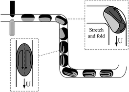 Graphical abstract: Fluid mixing in droplet-based microfluidics with a serpentine microchannel