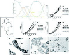 Graphical abstract: In vitro antileishmanial activity of aza-scorpiand macrocycles. Inhibition of the antioxidant enzyme iron superoxide dismutase