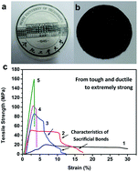 Graphical abstract: Tough and strong nacre-like composites from hyperbranched poly(amido amine) and clay nanosheets cross-linked by genipin