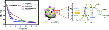 Graphical abstract: Fabrication and excellent visible-light-driven photodegradation activity for antibiotics of SrTiO3 nanocube coated CdS microsphere heterojunctions