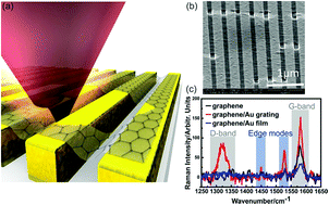 Graphical abstract: Characterization of graphene edge functionalization by grating enhanced Raman spectroscopy