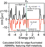 Graphical abstract: Possibility of spin-polarized transport in edge fluorinated armchair boron nitride nanoribbons