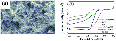 Graphical abstract: Nitrogen and sulfur co-doped graphene aerogels as an efficient metal-free catalyst for oxygen reduction reaction in an alkaline solution