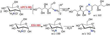 Graphical abstract: Study on the accelerated Gutknecht self-cyclocondensation of amino-sugars under atmospheric pressure chemical ionization conditions