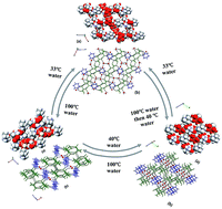 Graphical abstract: Hydrous salts of 1-aminoethylidenediphosphonic acid and piperazidine: temperature induced reversible structural transformation in a humid environment