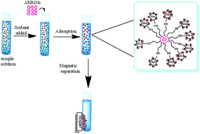 Graphical abstract: Albumin-functionalized magnetic nanoparticles as an efficient sorbent for removal of Pb(ii), Cd(ii), Cu(ii) and Cr(vi) ions from aqueous solutions