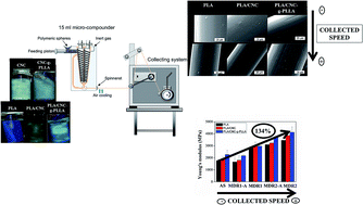 Graphical abstract: Poly(lactic acid) melt-spun fibers reinforced with functionalized cellulose nanocrystals